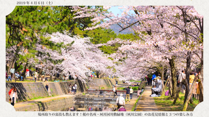 【2020年3月25日追記】場所取りの裏技も教えます！桜の名所・夙川河川敷緑地（夙川公園）のお花見情報と3つの楽しみ方