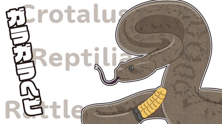 尻尾の中身は意外な事実！毒を持つガラガラヘビは頭を落としても要注意！