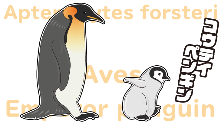 ヒナの可愛さに癒されるコウテイペンギンは世界一過酷な子育てをする鳥！？